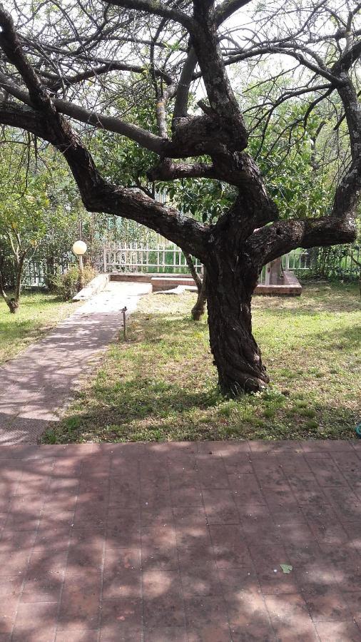 Bed & Breakfast Suite Rende Dış mekan fotoğraf